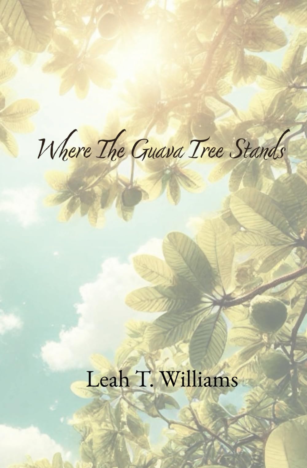 Where The Guava Tree Stands