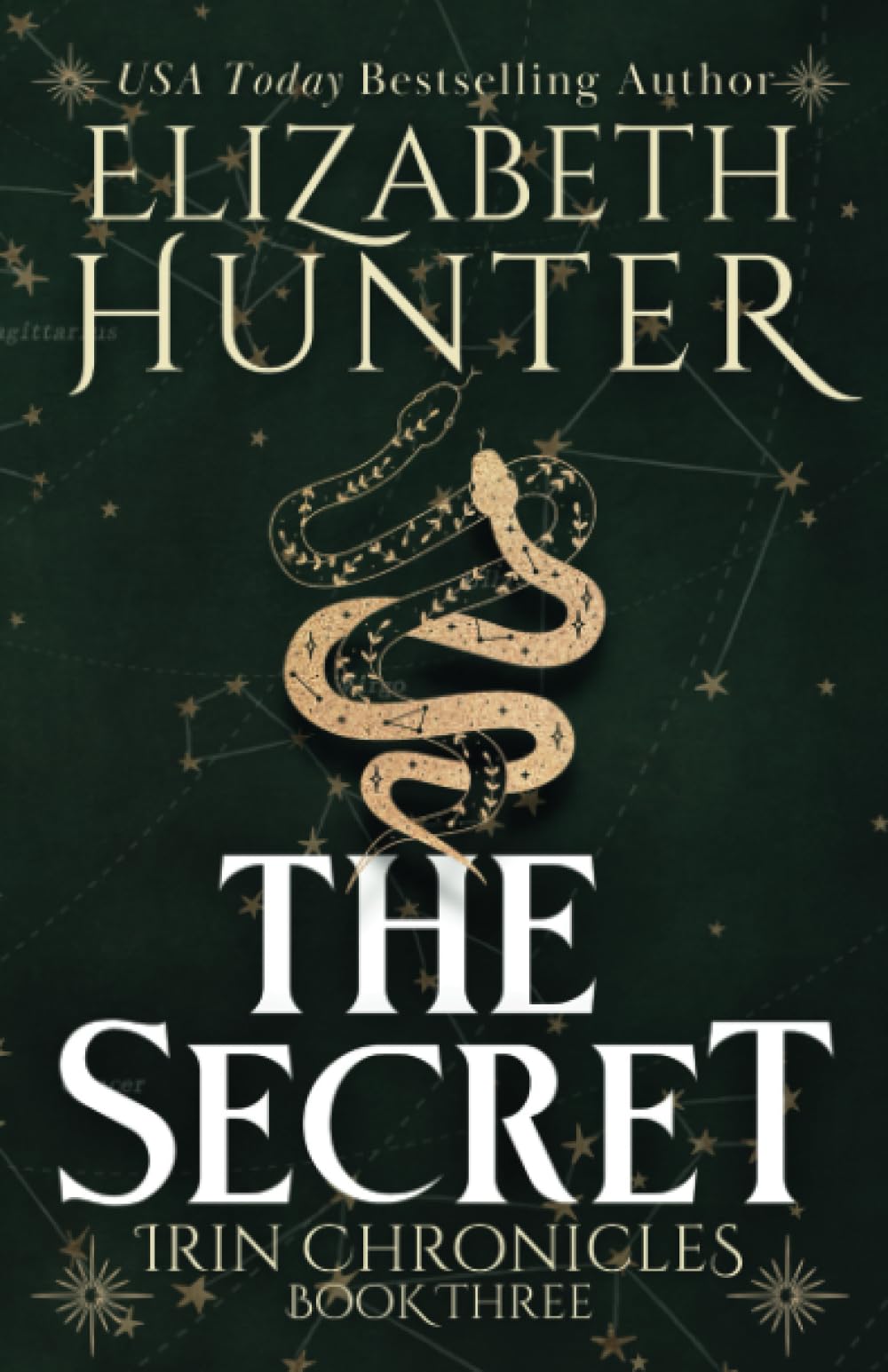 The Secret: Tenth Anniversary Edition (Irin Chronicles): Hunter ...