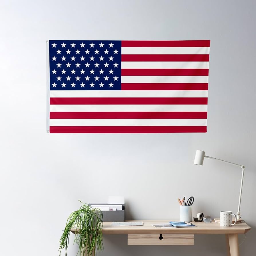 Amazon.com : Fyon United States Flag US flag 49 stars 1959