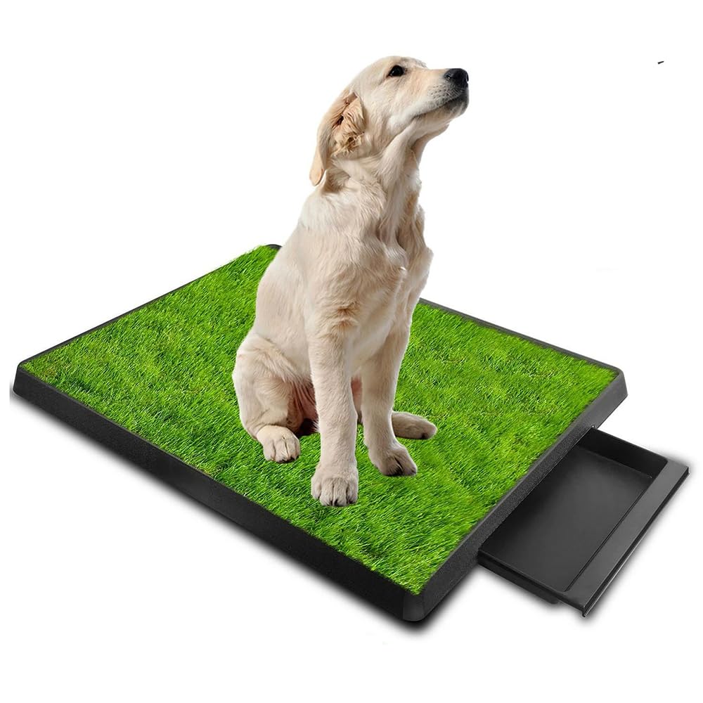 Tapis d'apprentissage pour Chien avec Séparateur d'Urine, Grand Plateau 64 x 51 cm, Plateau Extractible