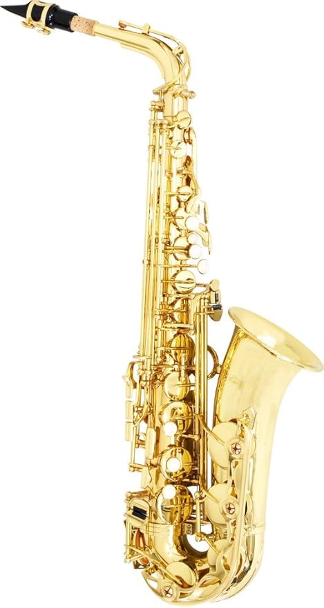 新品 送料無料 Kaerntner ケルントナー アルトサックス サックス