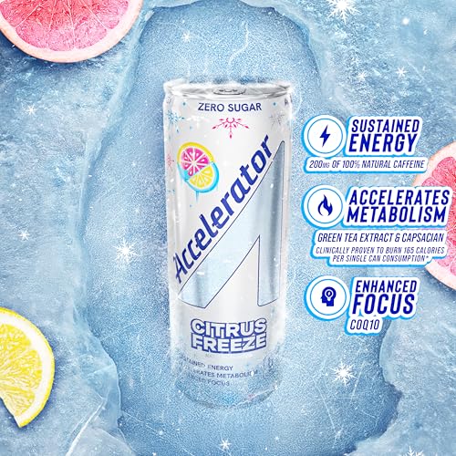 Image of Accelerator Active Energy Drink, Citrus Freeze 12oz can (12 pack) | Zero Sugar, Sustained Energy from 100% Natural Caffeine (200mg from Green Coffee Bean & Green Tea extract)