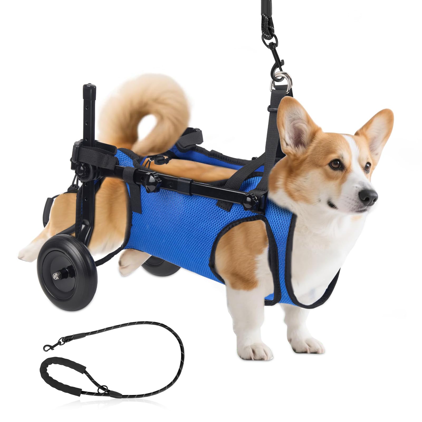 Fauteuil roulant réglable pour petits animaux de compagnie - Support de la jambe arrière pliable avec roues - Taille M - Aide à la mobilité pour pattes arrière paralysées (S)