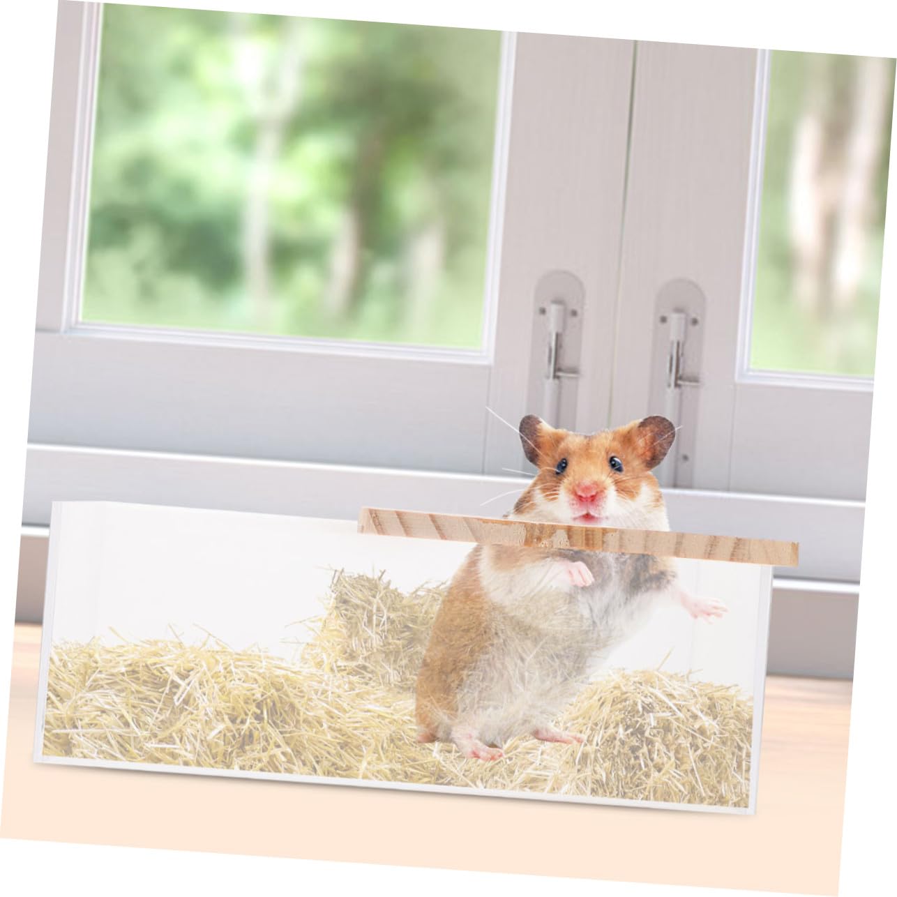 2 Stück Transparente Hamster Sandbadbox aus mit Holzabdeckung und Belüftung Robustes Kleintier Bad für Chinchillas Mäuse Ratten Geräumige Haustier Waschbox