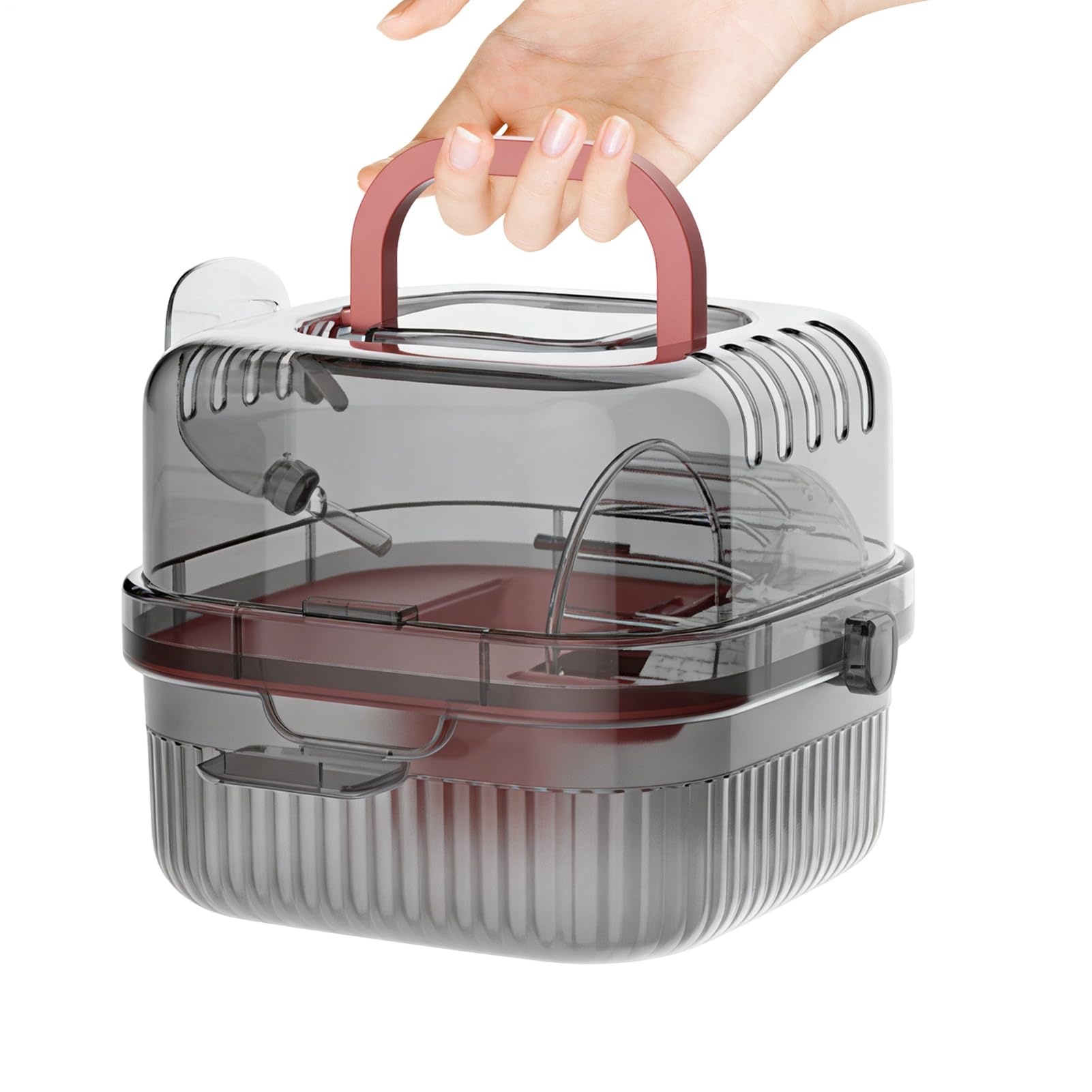 Transporteur pour hamster en extérieur : cage portable avec roue et gourde