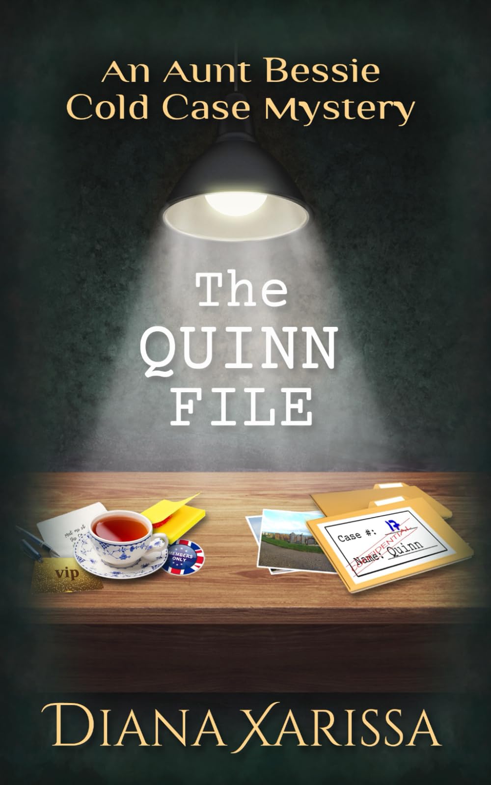 The Quinn File: 17 (The Aunt Bessie Cold Case Mysteries)