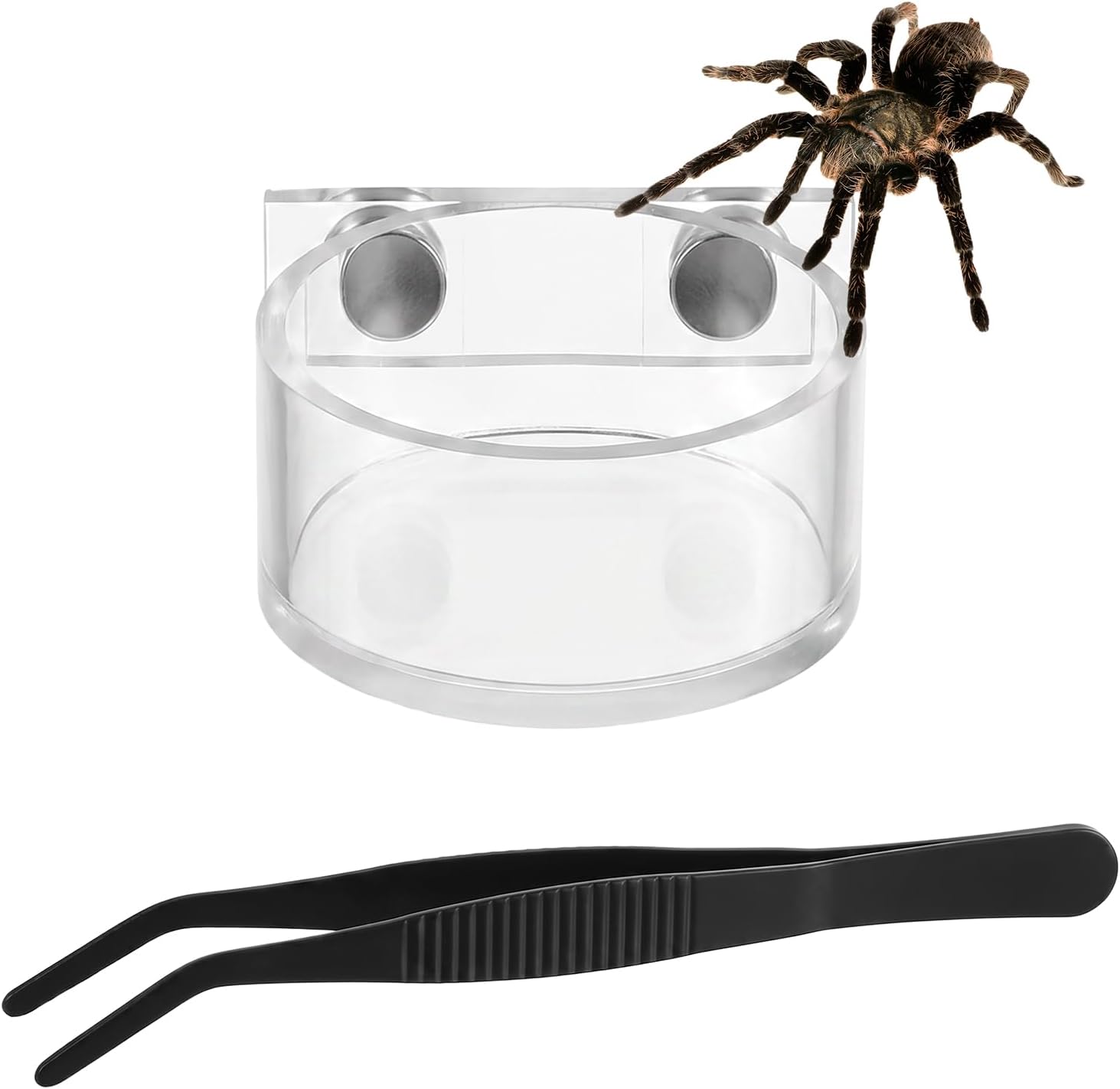Jumping Spider Feeding Dish Set, Water Bowl with Tweezer