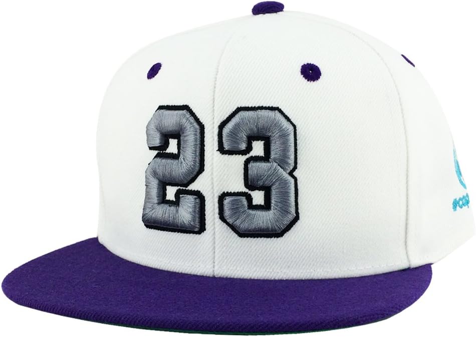 Caprobot Custom Embroidered Hat Player Jersey Number #23 Snapback Cap WHite Grey Purple Visor