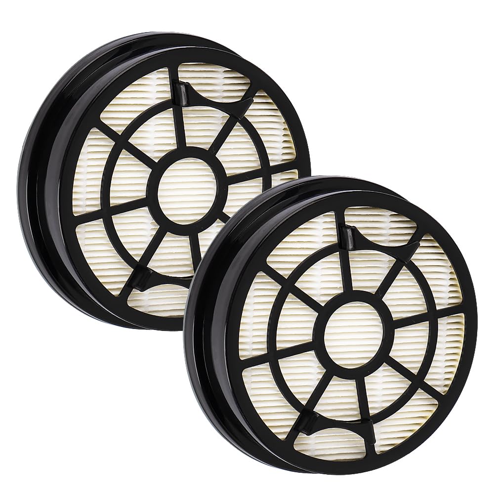 Lot De 2 Filtres Compatibles Rowenta Swift Power Cyclonic RO2910 / RO2913 / RO2915 / RO2932 / RO2933 / RO2957 / RO2981