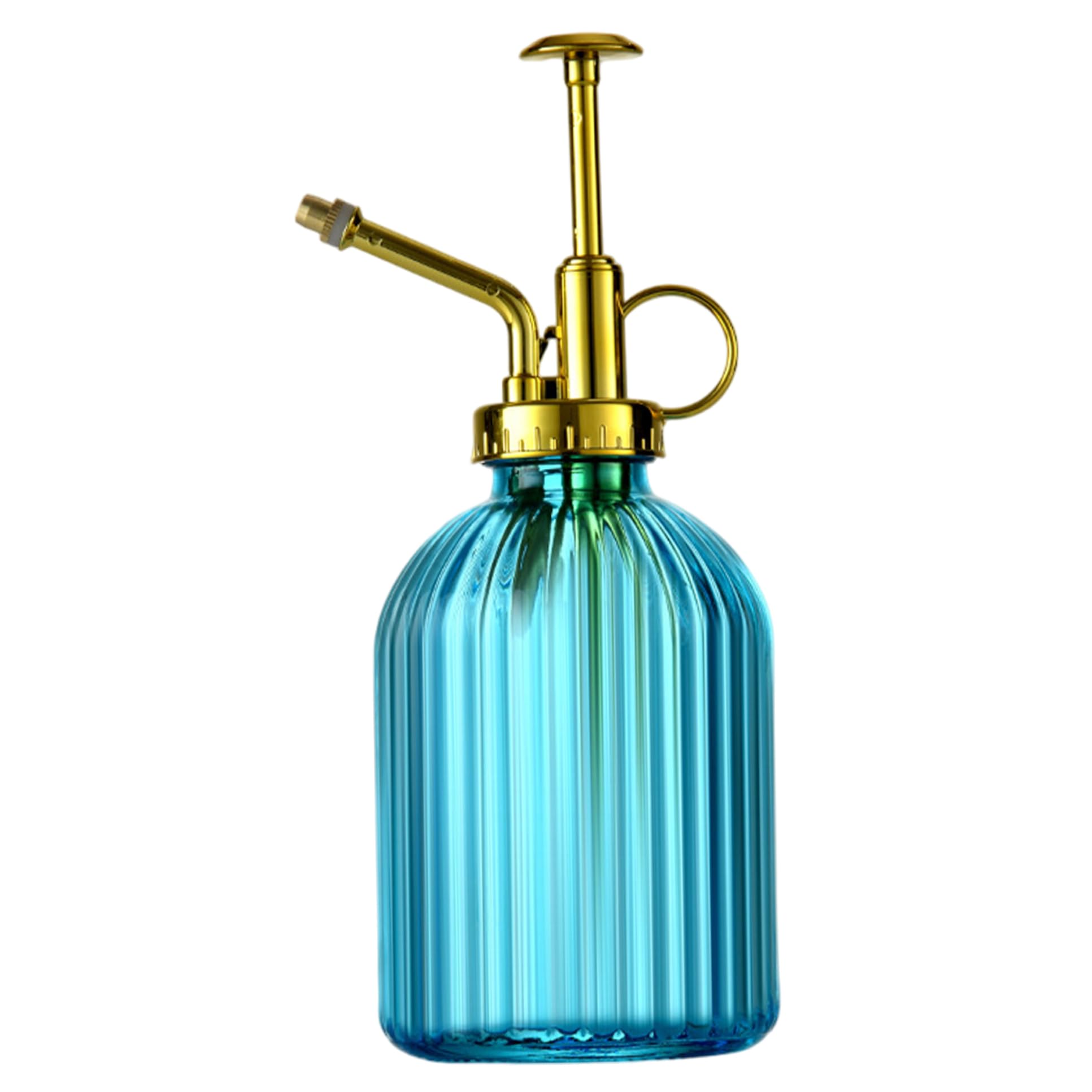 Licsaliwe Plant Mister Spray Bottle 320ml, Press-Type Fine Mist Sprayer with Handle for Succulents & Indoor(Blue)