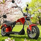 eAhora 2000W 37MPH M1 2 Seater Electric ...