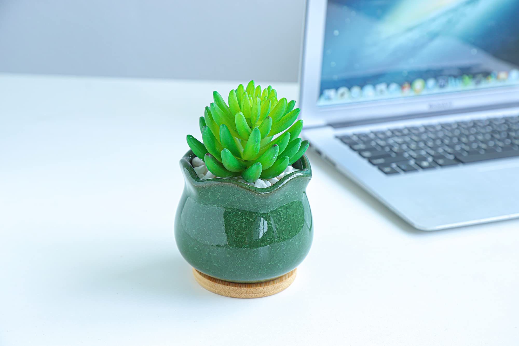 青緑色の陶器製花瓶と多肉植物*3 多肉 アニマル 開運 陶器鉢