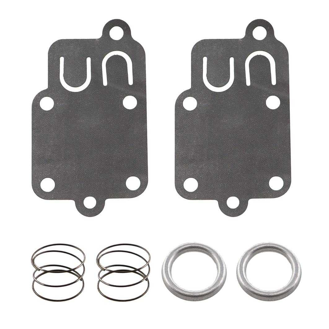 Realman Kit Carburateur 492256 Compatible Briggs & Stratton 260000 261000 Series - Jeu Complet Avec Joints