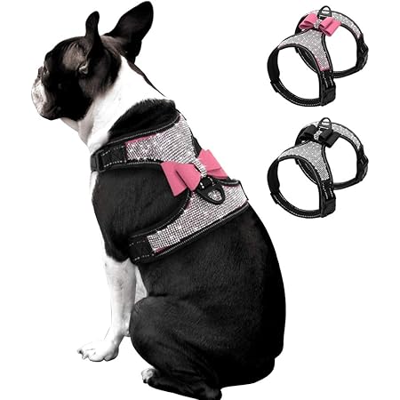 dog harness with bow