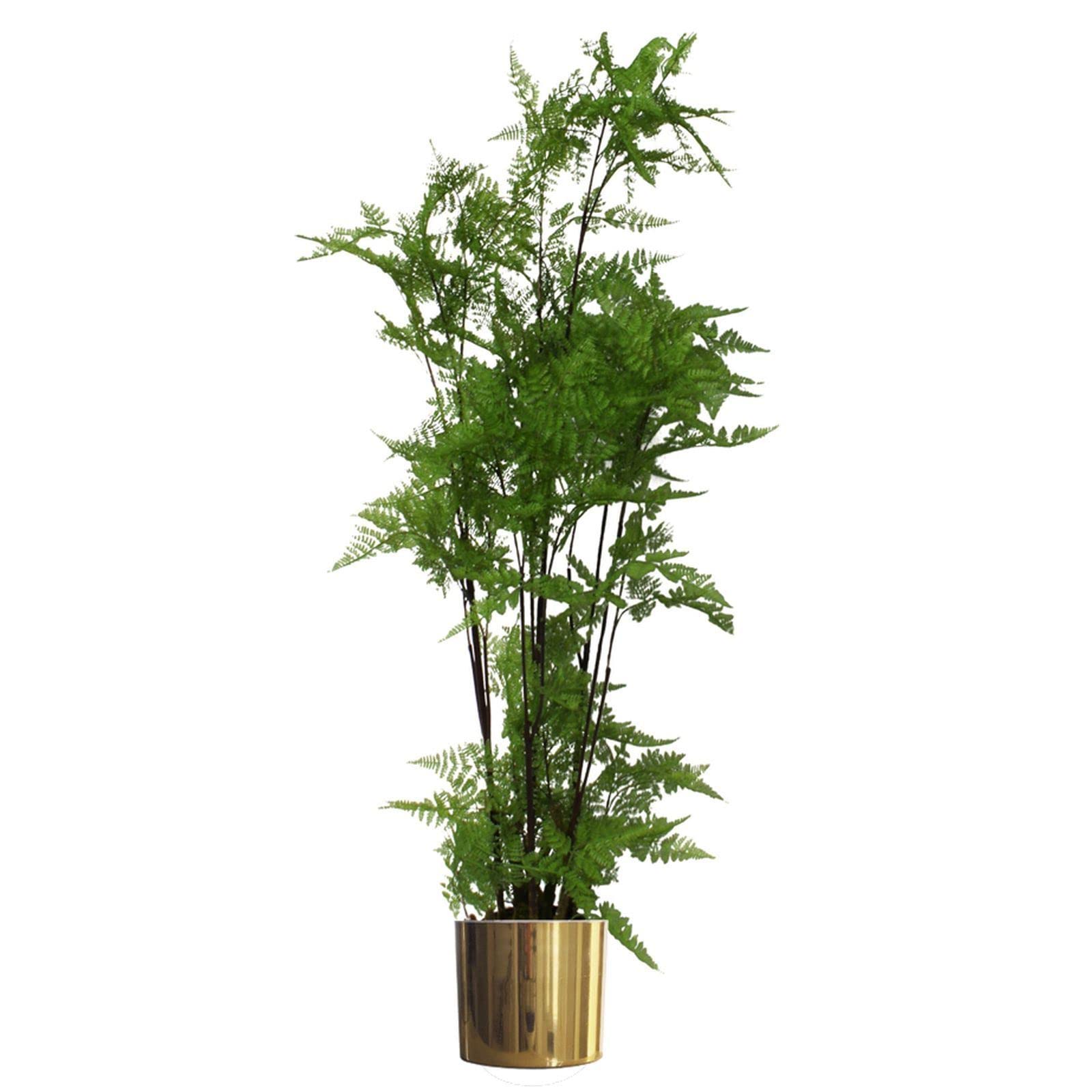 Leaf Artificial Realistic Natural Look Moss Fern in Pot
