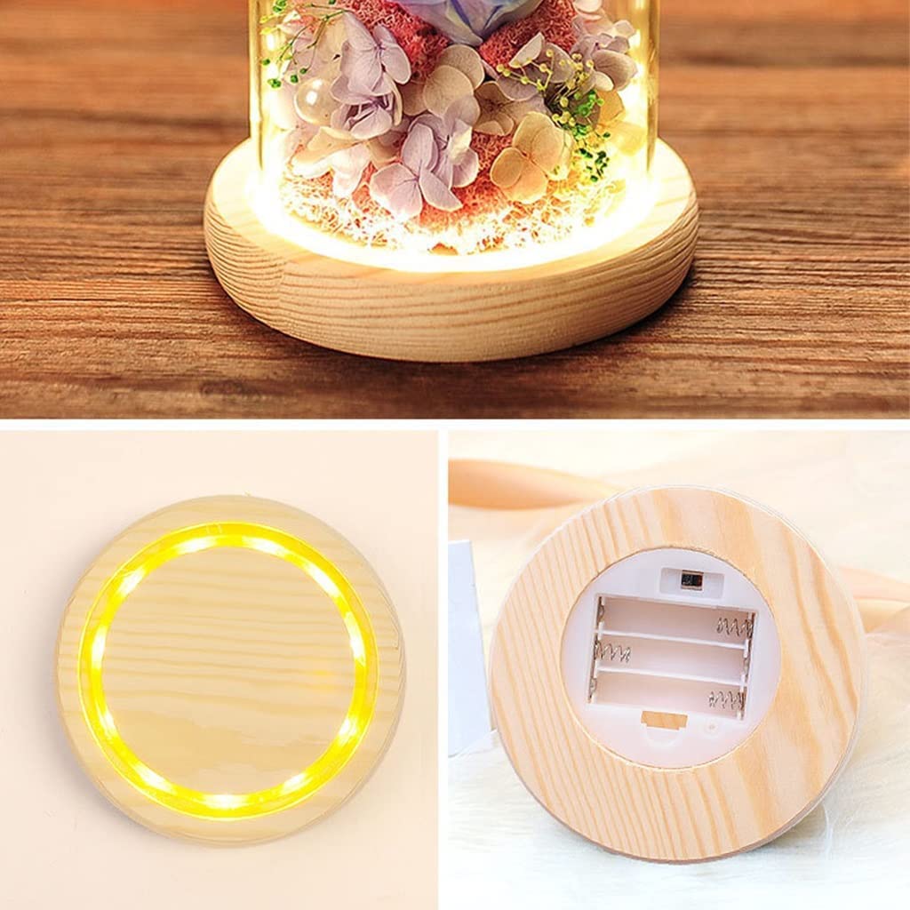 Lampa różana, wieczna różaDome Led Light, wieczna róża, zachowana wieczna róża, ręcznie robiony kwiat róży, szklana kopuła Zachowany kwiat nigdy nie zwiędły różany szklany kwiat róży (kolor: czerwony)