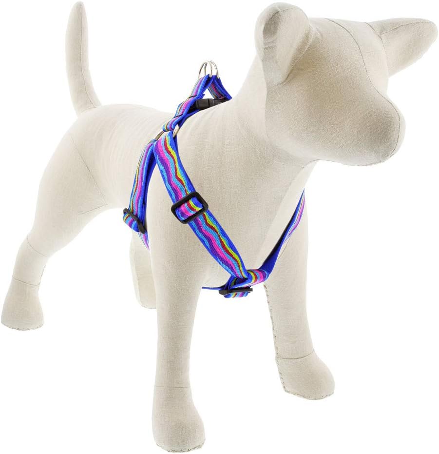 Adjustable Medium Dog Step in Harness by Lupine 1" Wide Ripple Creek Design with 19-28" Girth