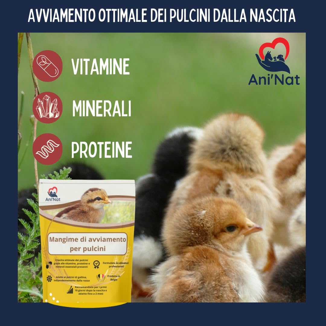 AniNat Alimento starter per pulcini, Cibo 1 ° età con vitamine, proteine e minerali, oli essenziali. Adatto fin dalla nascita. (1,8 kg) (1800 grammi)