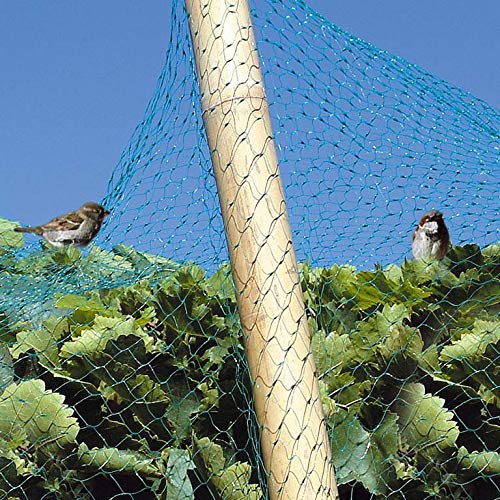 Catral 52010063 – Rete per Uccelli, 0,1 x 200 x