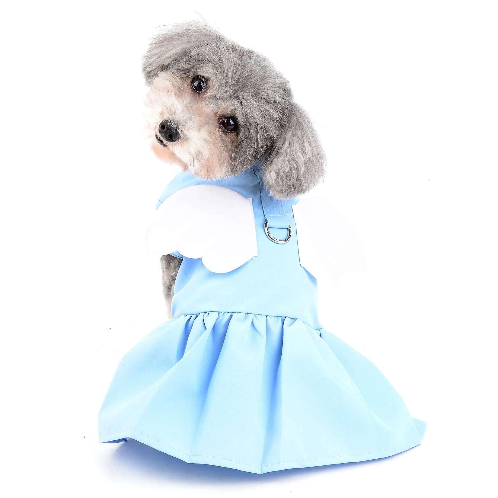 Ranphy Angel Wings Puppy Dresses for Small Dogs Girls Pet Clothes with D-ring Doggy Apparel Comfortable Summer Shirt Skirt Chihuahua Yorkie Cats Outfits - Image 4