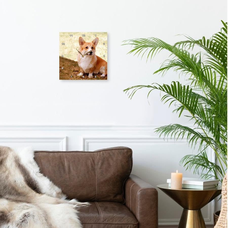 Miniatura 2 de 3dRose Pembroke Welsh Corgi Reloj de pared 100 x 100in
