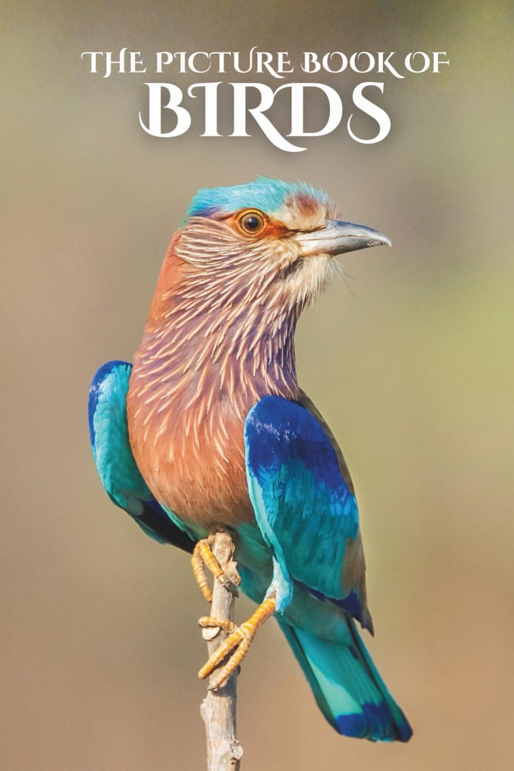 The Photo Book of Birds: A full color picture book for Seniors with Alzheimer's or Dementia (Picture Books for Dementia and Alzheimer’s Patients)