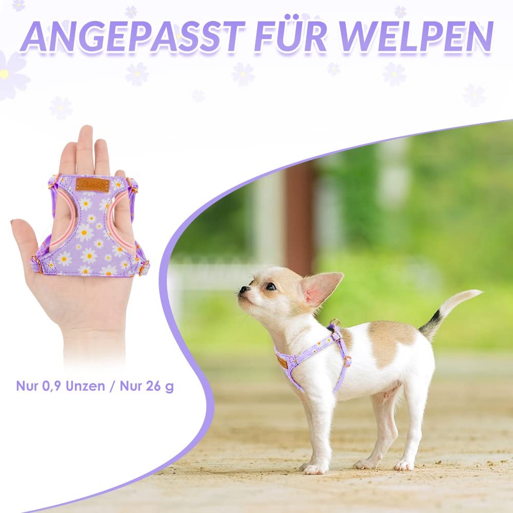 Hundegeschirr-Set Verstellbar – Mit Leine, Kotbeutelspender & Bandana Für Kleine/mittlere Hunde