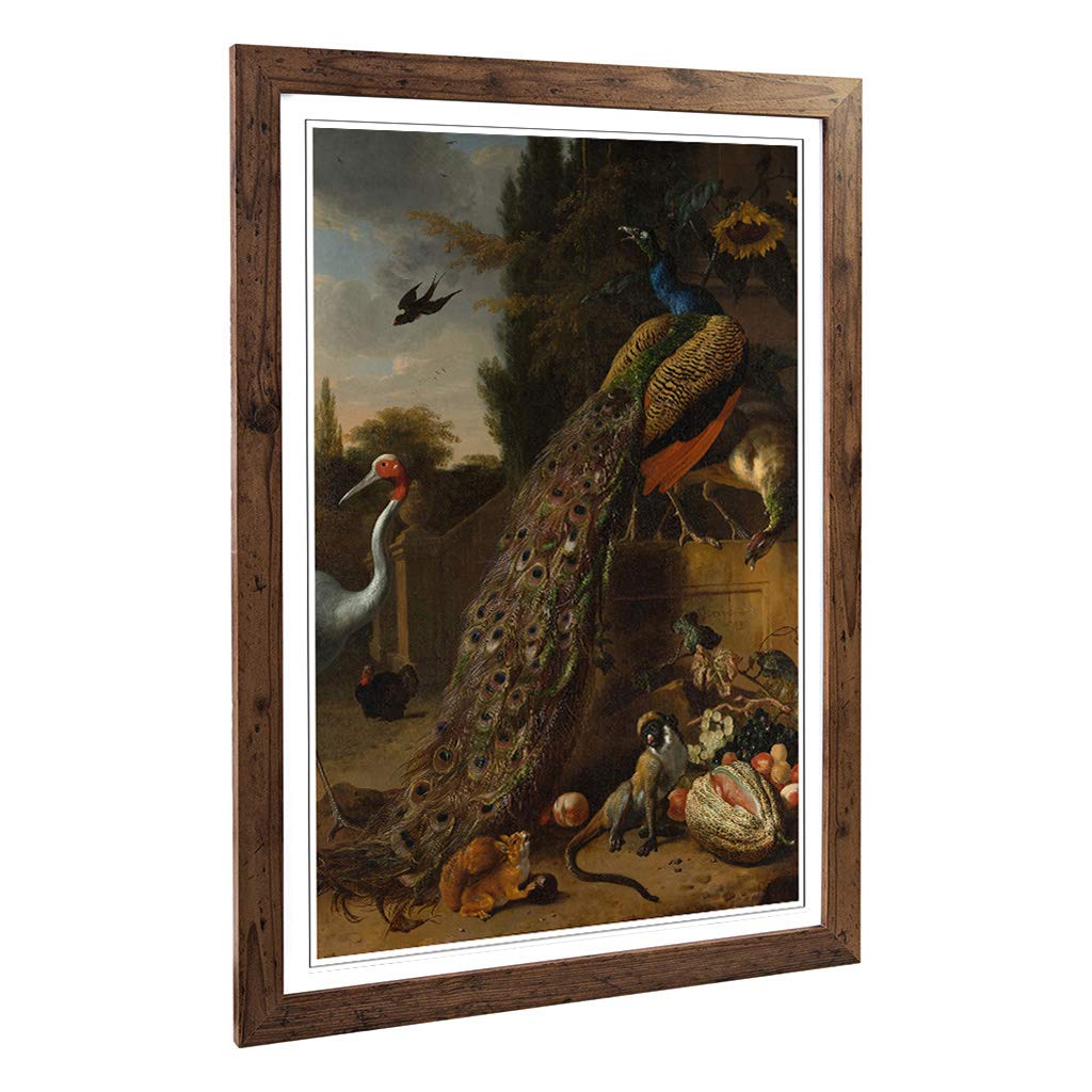 Big Box Art Framed Print of Melchior d'Hondecoeter Peacock Design | Wall Art Picture | Home Decor for Kitchen, Living, Dining Room, Bedroom, Hallway, Office, Walnut, A2 / 24.5x18 Inch / 62x45cm
