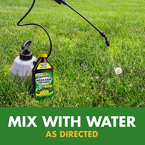 Image of Spectracide Weed Stop For Lawns Concentrate2