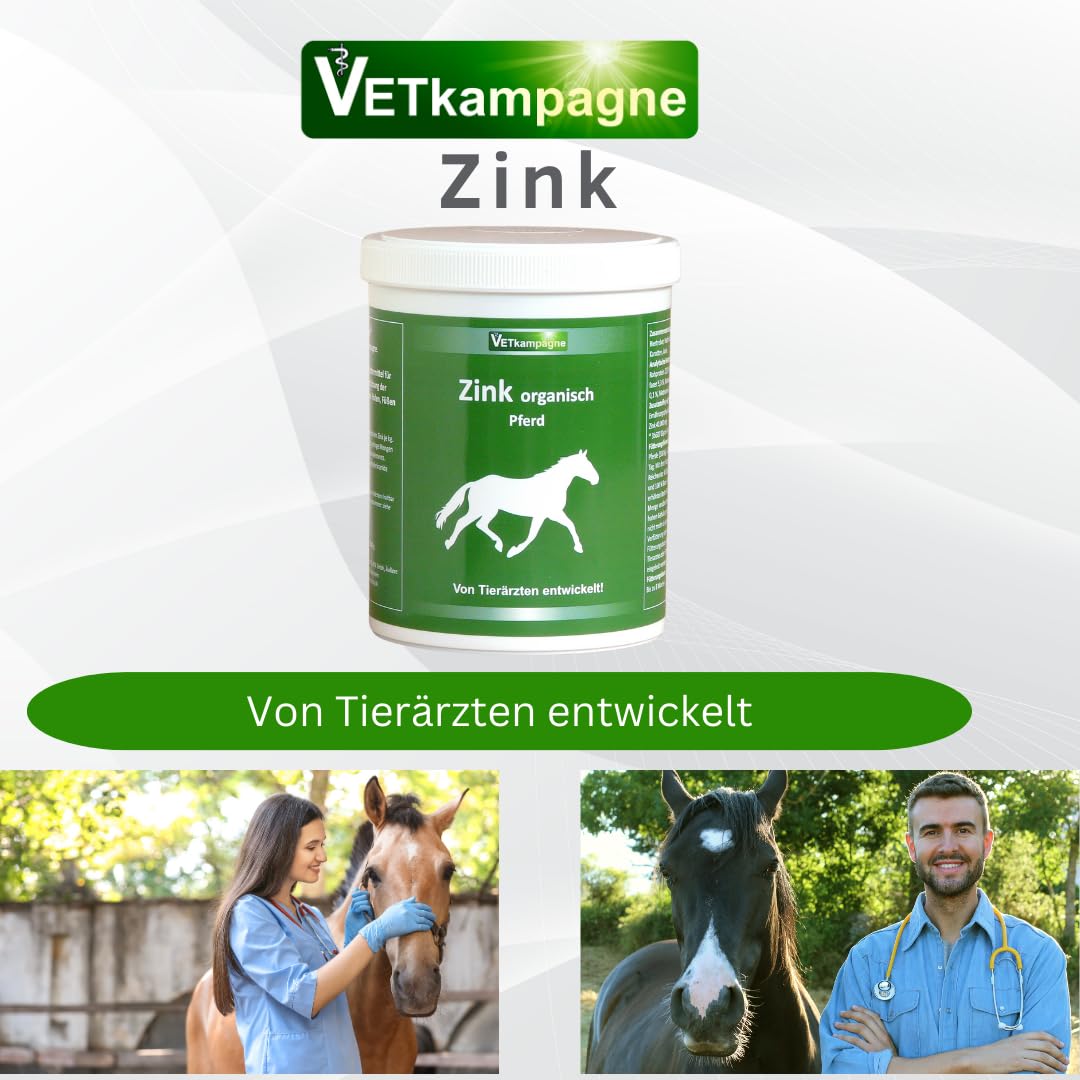 Zink organisch Pulver 500g – Hochdosiert 40.000 mg/kg Zinkglycinat – Unterstützung für Haut, Fell & Hufe – Melassefrei & zuckerfrei – Bewährt seit über 10 Jahren