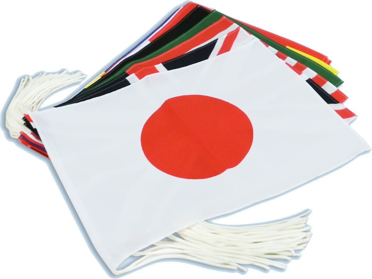 Amazon | TOSPA 万国旗セット 20カ国セット Mサイズ 34×50cm