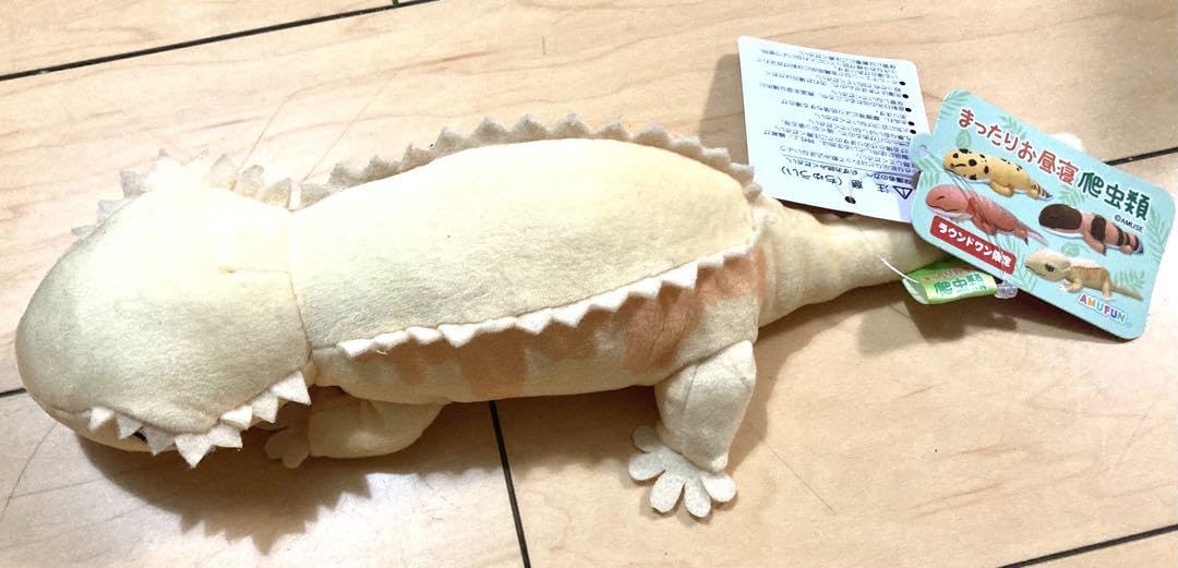 Amazon.co.jp: まったりお昼寝 爬虫類 クレステッドゲッコー