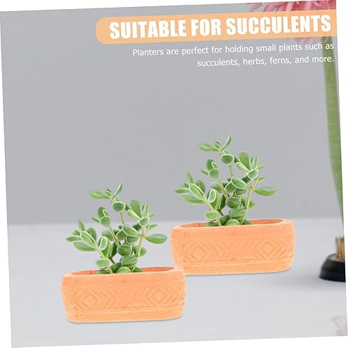 Miniatura 8 de DECHOUS Maceta miniatura Macetas de interior para plantas Macetas de interior Macetas de interior Macetas de interior Maceta de cerámica Maceta de
