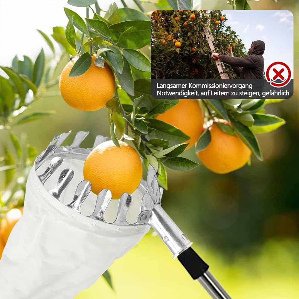 PASLFC 4.2m Obstpflücker mit Teleskopstiel Apfelpflücker Obstpflücker für Kirschen Kirschenpflücker mit Teleskopstiel Kirschpflücker mit Teleskopstiel Zitrus Birnen Kirschen Pflücker Pflaumenpflücker