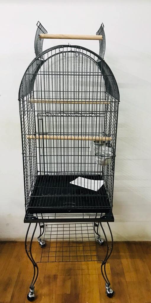 See full amazon price history chart for Birds cage 80902 Birds cage 80902 (B0C2HGH751) Amazon Price History, Amazon Price Tracker