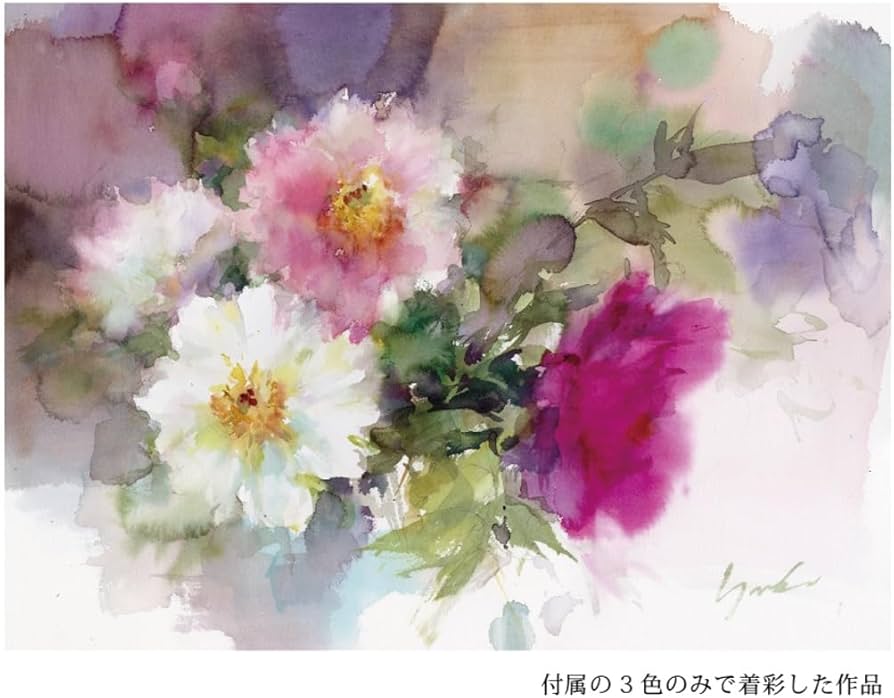 Amazon | Schmincke シュミンケ 永山裕子 特色セット（ペオニア