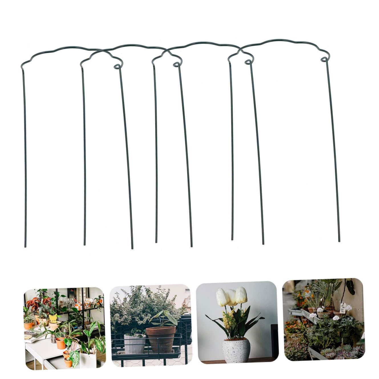 6 Tuteurs Verts en Fer pour Plantes en Pot, Support Pratique pour Fleurs et Feuilles, Évite L’enchevêtrement, Jardin