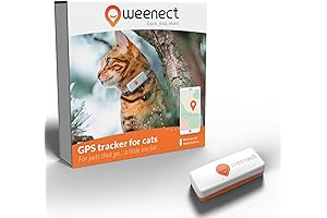 Weenect Cat XS: The Ultimate Tracking Collar for Feline Adventurers