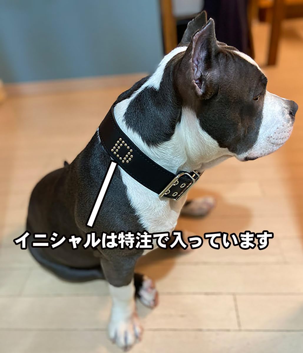 Amazon | Extra+Heavy 大型犬用革首輪；4cml Type 000 サイズ1cm単位で