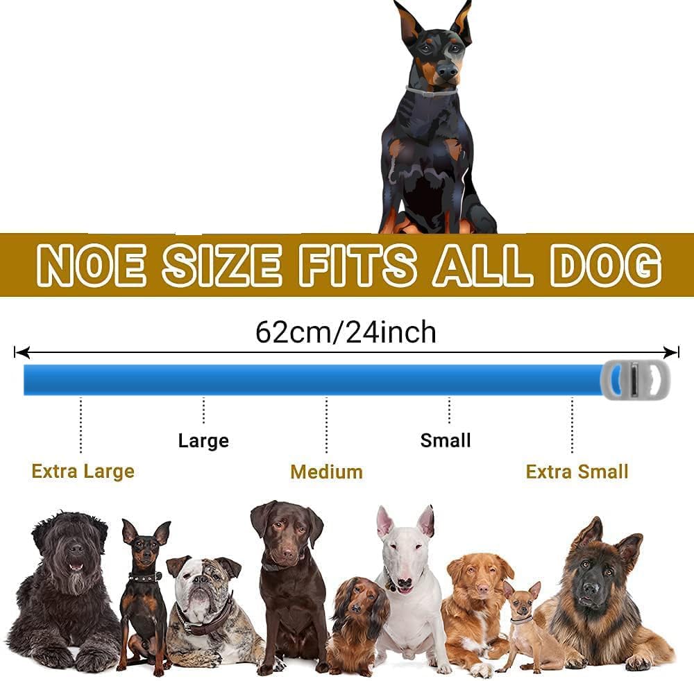 2 Pack Dog Collars, Adjustable Collars for Dogs, Water-Resistant for Puppies Small Medium Large Dogs,blue - Image 4