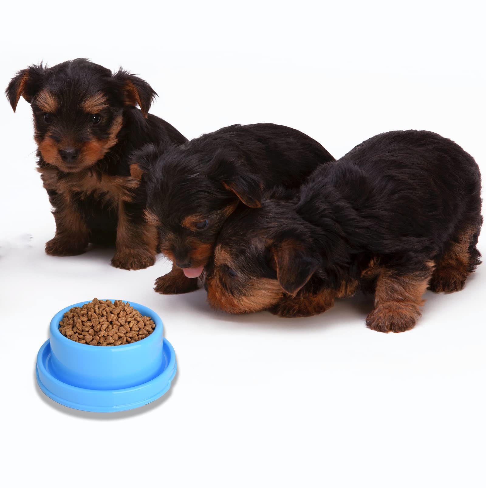 2 Ciotole Per Cani E Gatti - Antiformica, Antiscivolo, In Plastica Colorata Per Cibo E Acqua - Foto 10