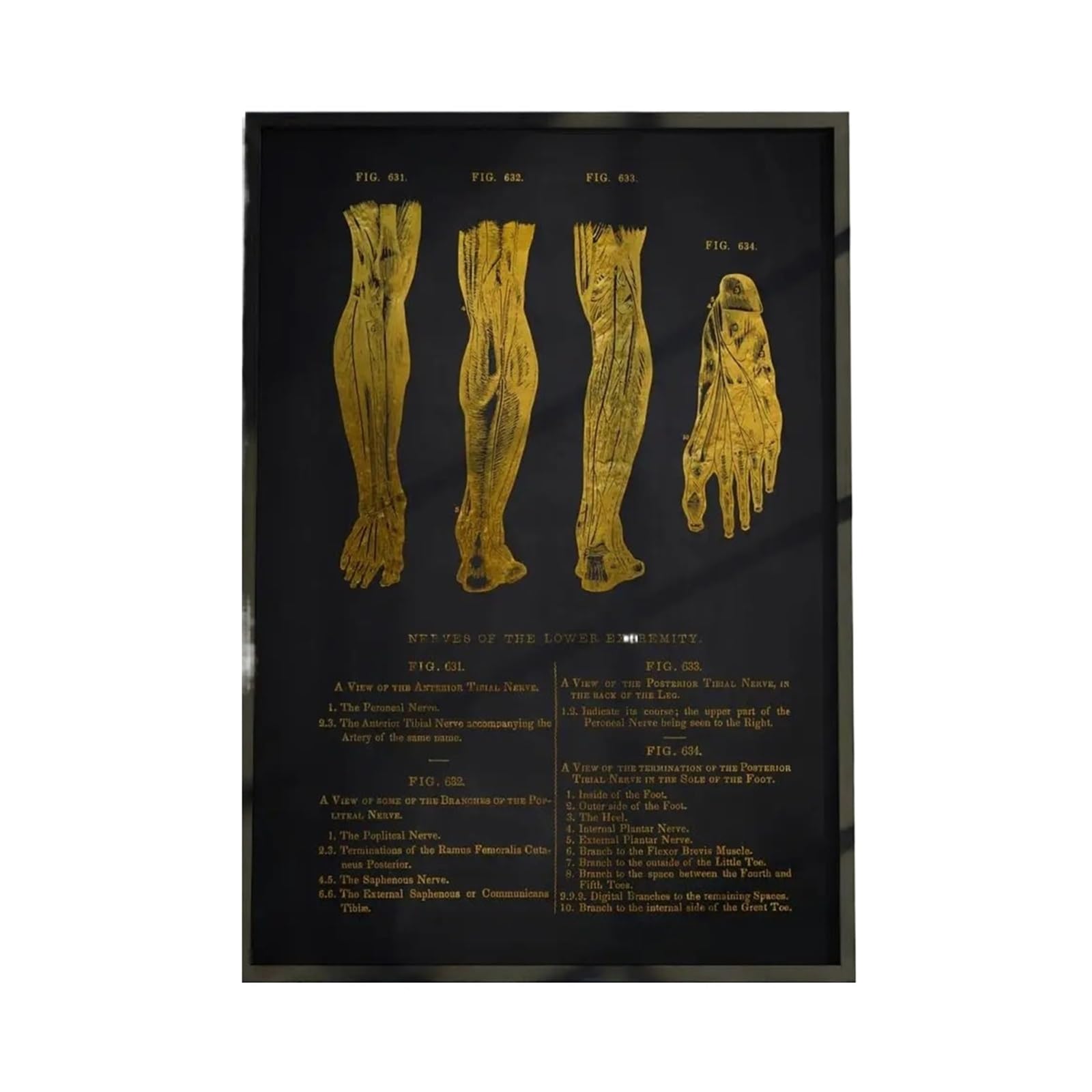 1 Szt. Wykres Anatomii Ludzkiego Ciała Plakat Wodoodporna Dekoracja Ścienna Samoprzylepna Do Każdej Przestrzeni Idealny Prezent