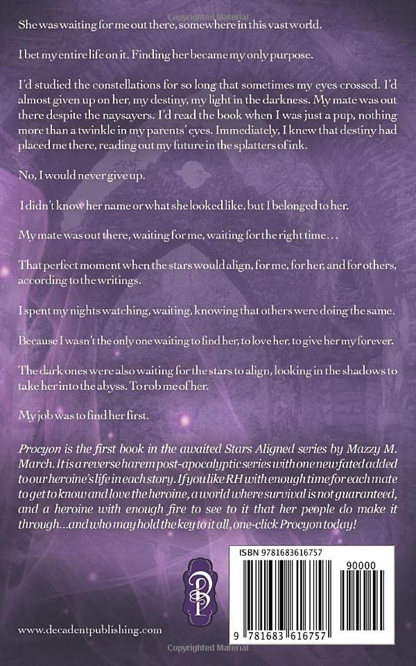 Procyon (Stars Aligned) - Image 2