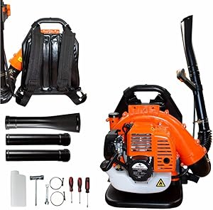 Soffiatori di foglie a zaino thumbnail classifica