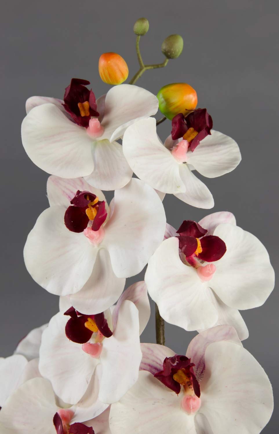 Seidenblumen Roß Orchidee Real Touch 58x28cm weiß-Bordeaux in weißer Keramikschale GA Kunstblumen Kunstpflanzen künstliche Phalaenopsis Blumen Pflanzen
