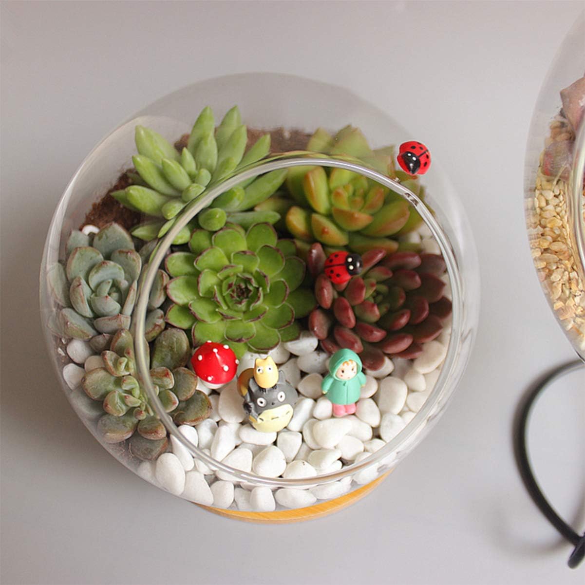 DOITOOL Candy Jar Glass Terrarium Container Bowl Vase Bubble Miniature Micro Landscape Clear Planter Fruit Jar 12X12CM Candy Dish Plant Holder DIY Display Box Globe Flower Vase