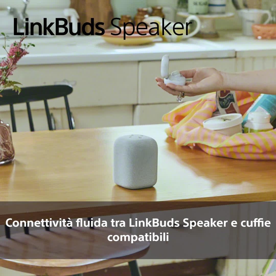 Sony LinkBuds Speaker – Altoparlante Portatile Wireless Bluetooth, IPX4, resistente all'acqua, batteria da 25 ore, qualità delle chiamate nitide, per esterni, da viaggio - Black