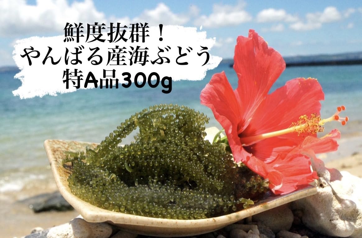 Amazon.co.jp: 海ぶどう 新鮮 やんばる産海ぶどう 特A品 300g 産地