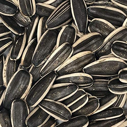 See full amazon price history chart for Lovely Pets Kingdom – Sunflower Seeds( Big ) for Gray Parrot,Indian Parrot, Macaw,Cockatoo and Exotic Birds (1kg ) Lovely Pets Kingdom – Sunflower Seeds( Big ) for Gray Parrot,Indian Parrot, Macaw,Cockatoo and Exotic Birds (1kg ) (B099ZH47JC) Amazon Price History, Amazon Price Tracker