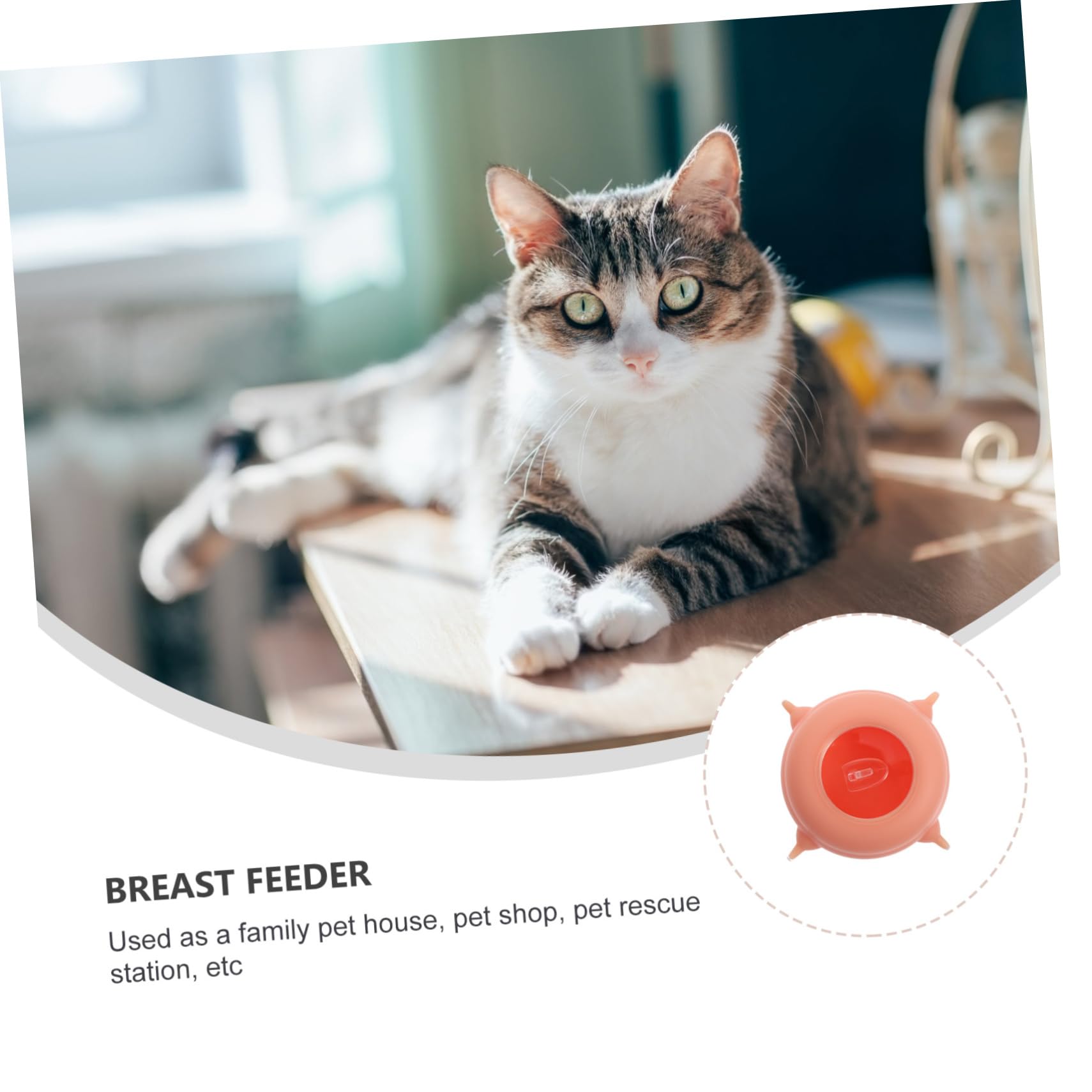 Happyyami Comedero para Mascotas Recién Nacidas Herramienta de Alimentación de Silicona Rosa Resistencia a Alta Temperatura para Gatitos Adecuado para Entrenamiento y Cuidado